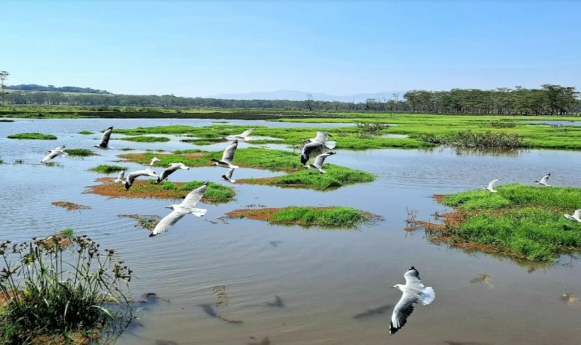 Escapade sur mesure en Tanzanie et sur l'île de Zanzibar