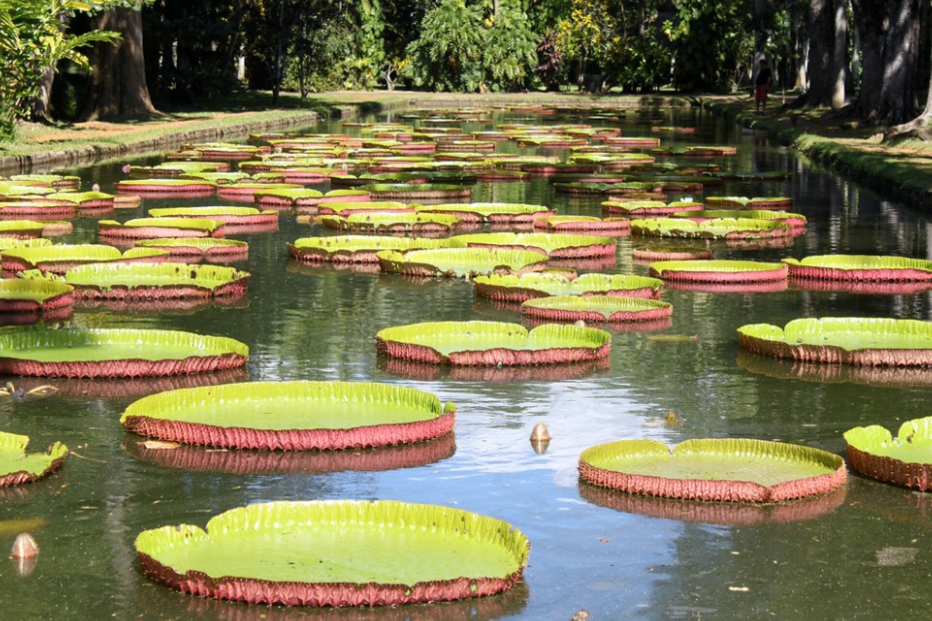 Escapade sur mesure sur l'île Maurice