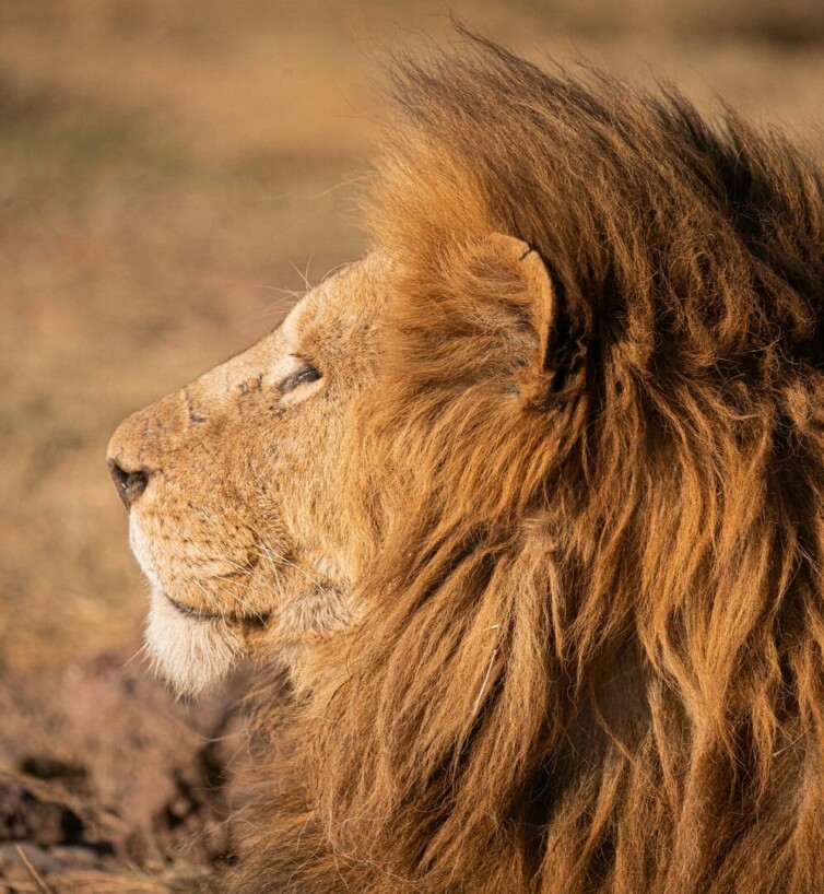Escapade sur mesure en Tanzanie