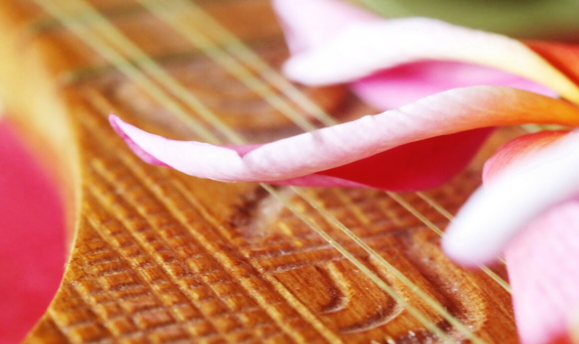 Séjour sur mesure en Polynésie - Designers Voyages