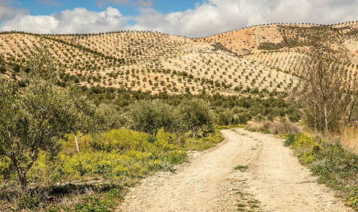 Voyage sur mesure dans les Pouilles - Designers Voyages