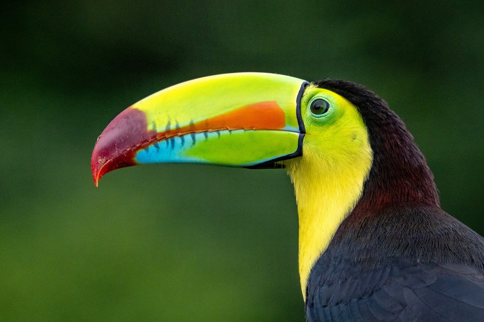 Voyage au Costa Rica sur mesure