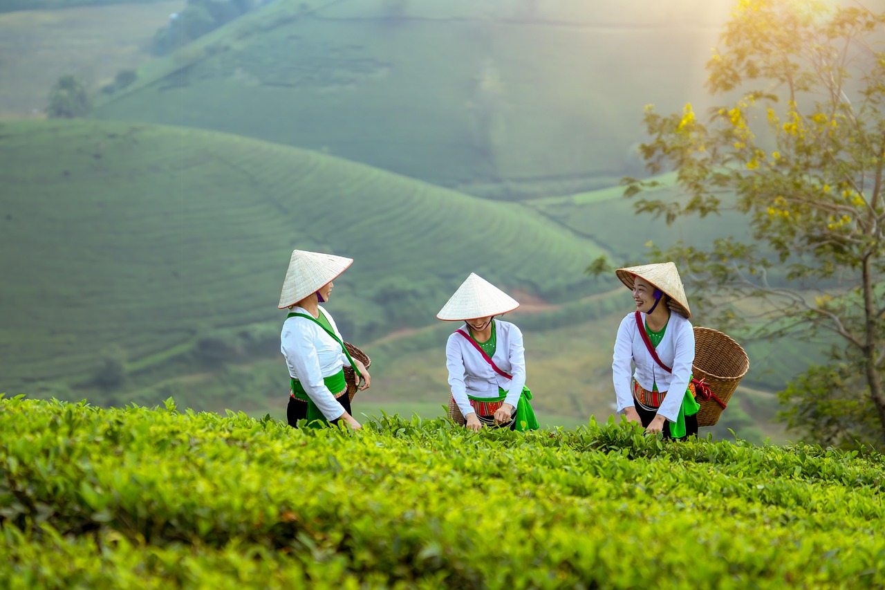 Voyage au Vietnam sur mesure