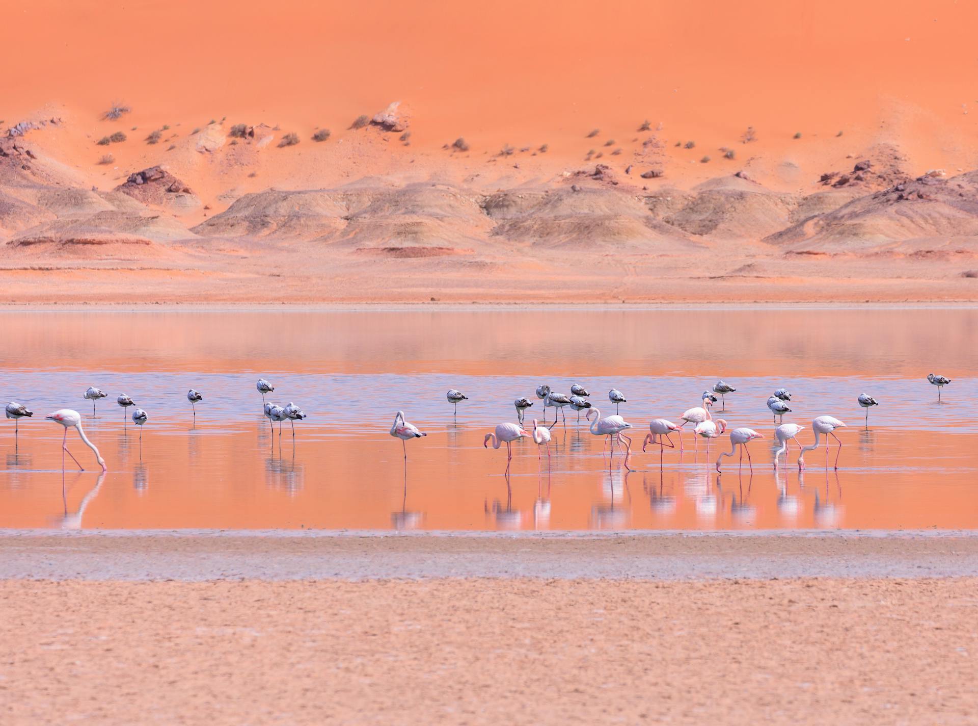 Voyage en Namibie sur mesure