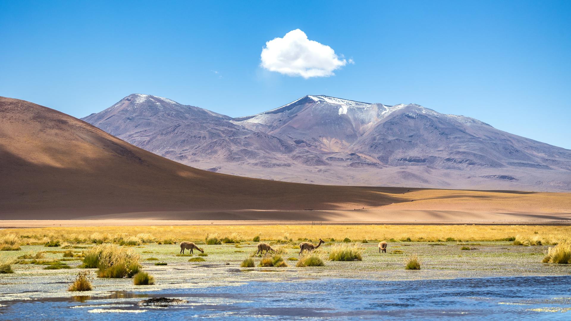 Voyage en Bolivie sur mesure