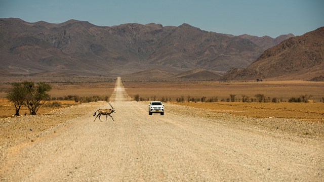 Piste traversant les paysages désertiques de Namibie